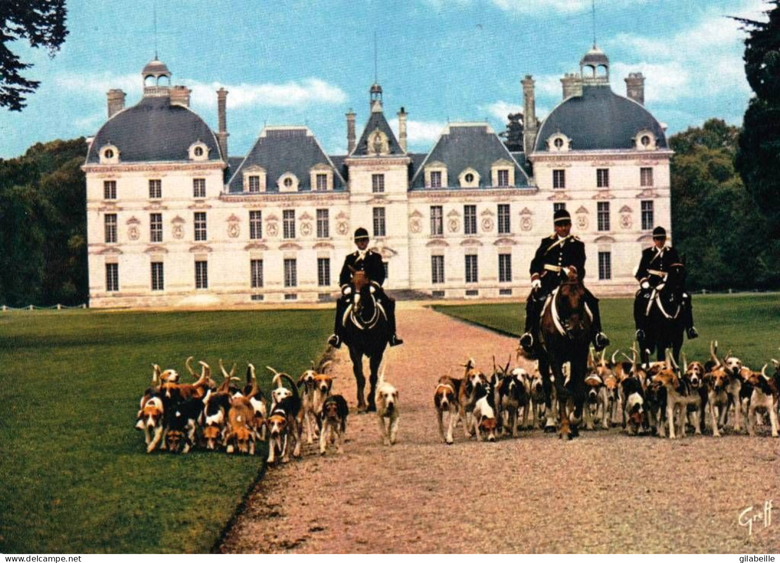 41 - Loir Et Cher  -  CHEVERNY - Chasse A Courre - Les Piqueux Et La Meute - Cheverny