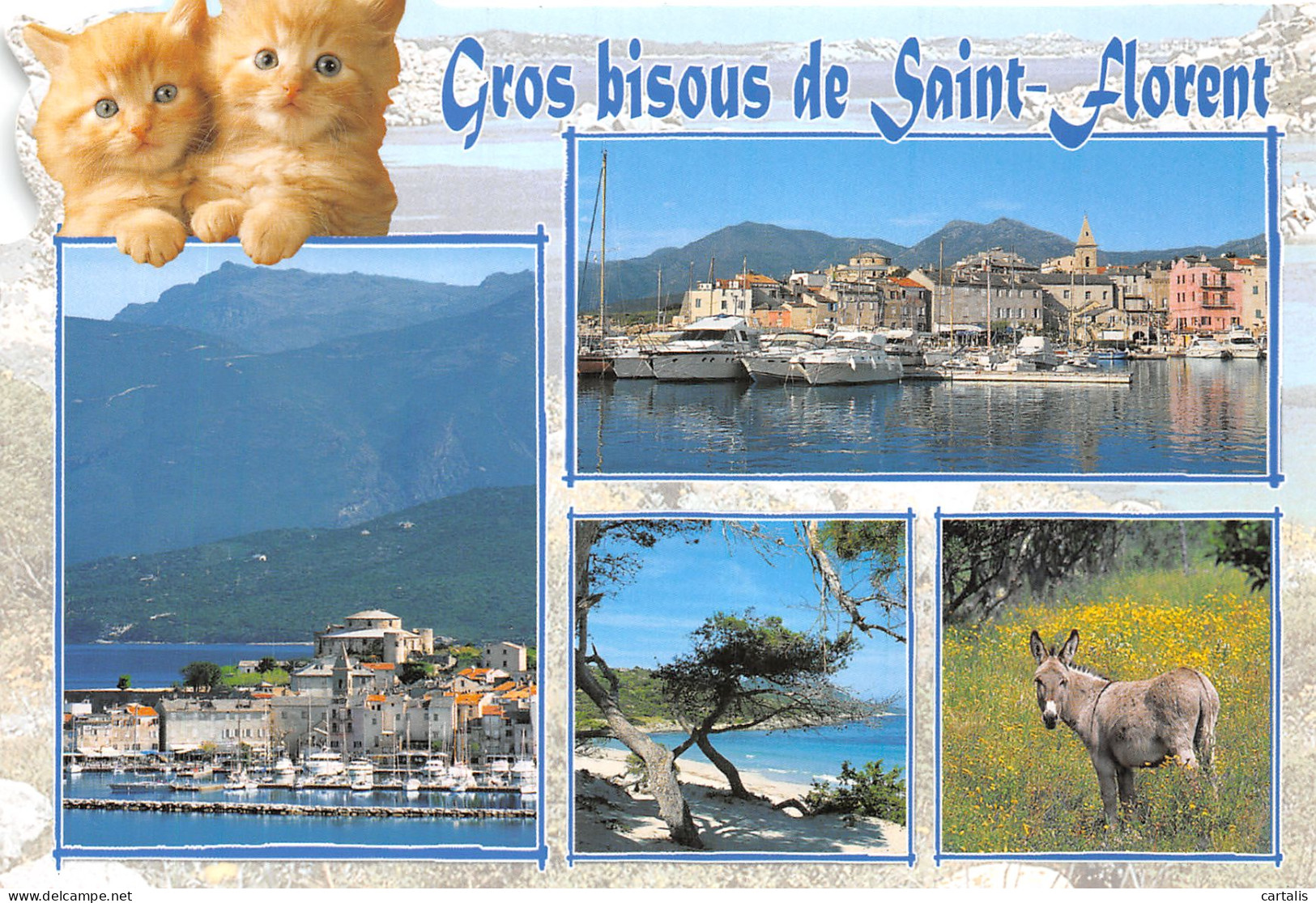 20-SAINT FLORENT-N°4213-A/0129 - Other & Unclassified