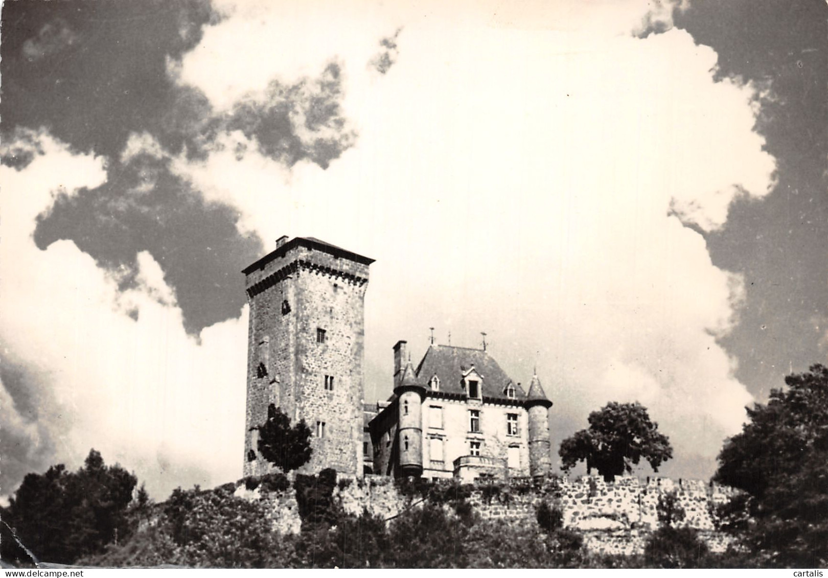 15-POLMINHAC LE CHATEAU DE PESTEILS-N°4213-B/0061 - Other & Unclassified