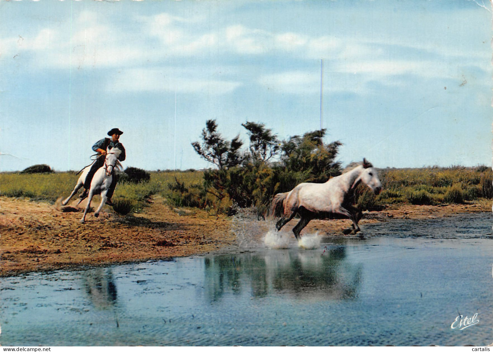 13-CAMARGUE-N°4214-C/0321 - Autres & Non Classés