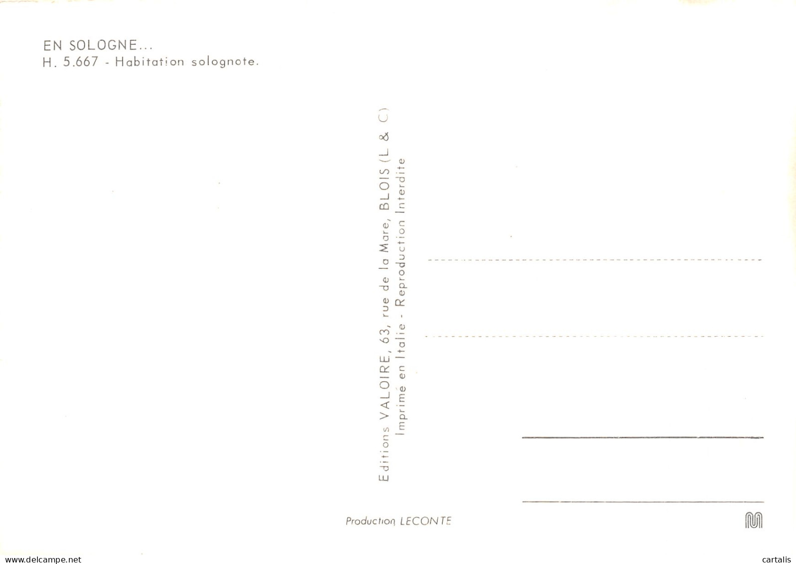 41-EN SOLOGNE-N°4214-C/0011 - Other & Unclassified