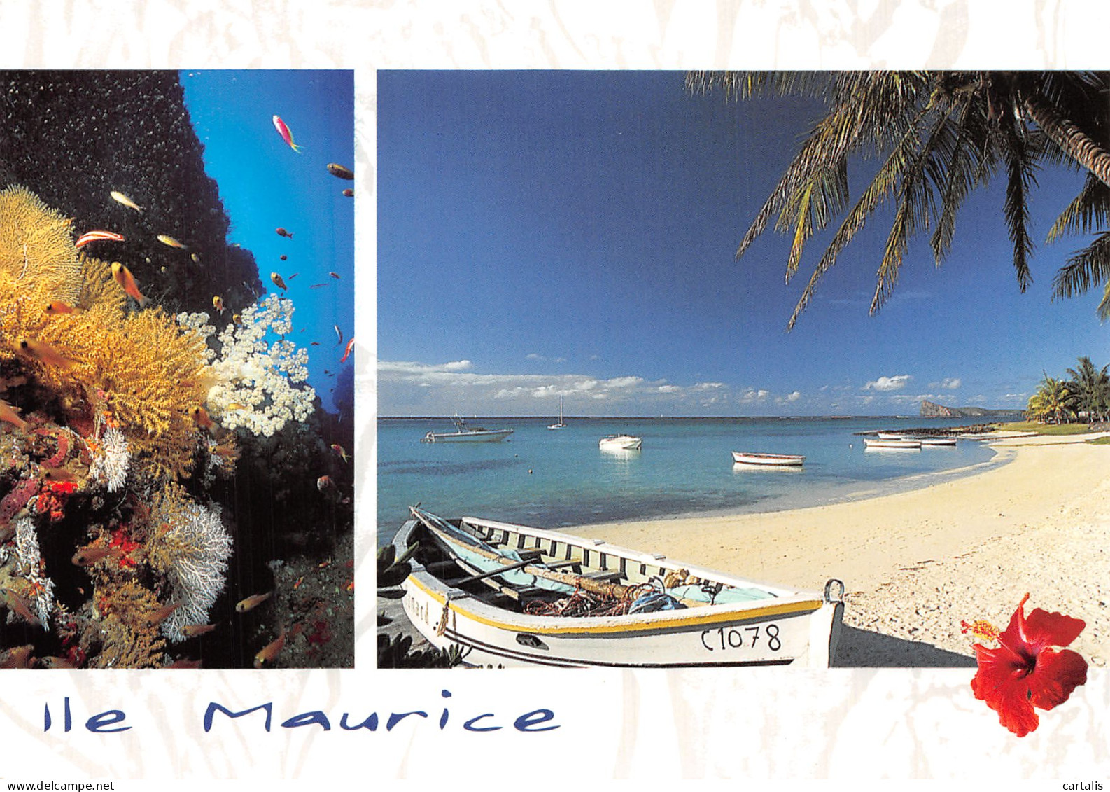 MAU-ILE MAURICE-N°4214-B/0255 - Mauritius