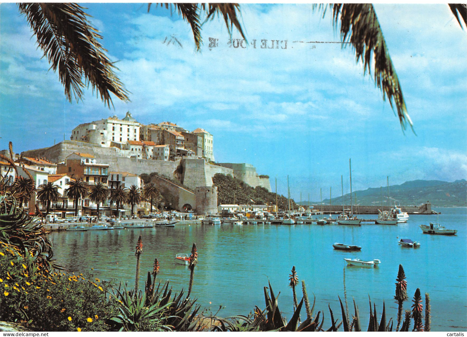 20-CALVI-N°4214-A/0323 - Calvi