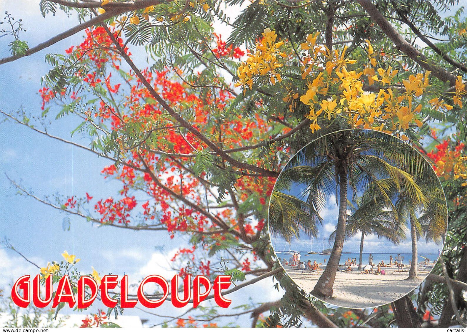 971-GUADELOUPE-N°4214-A/0265 - Andere & Zonder Classificatie