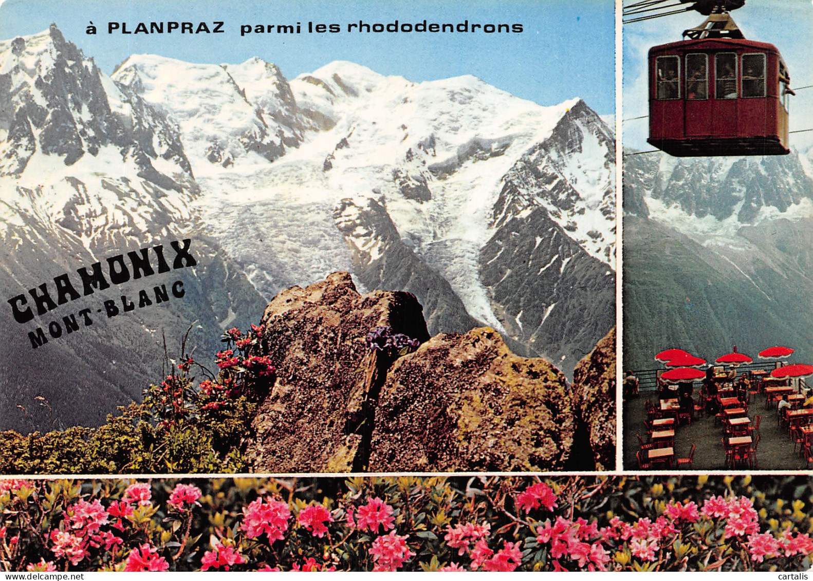 74-CHAMONIX MONT BLANC-N°4215-A/0253 - Chamonix-Mont-Blanc