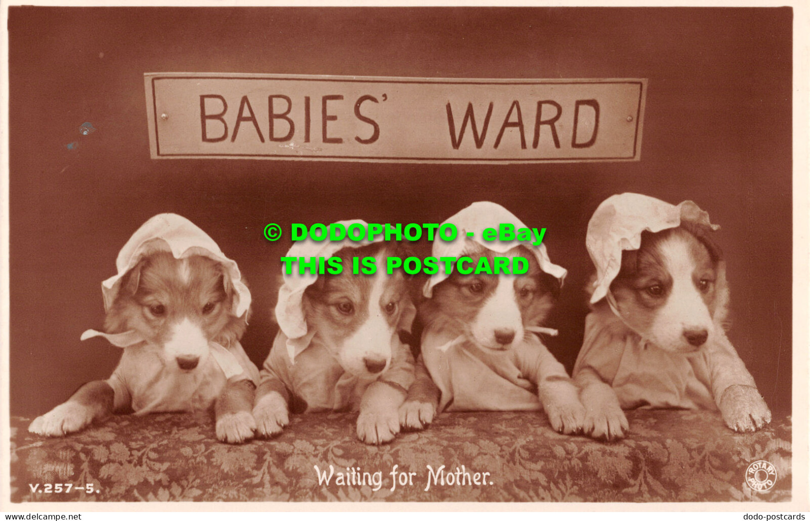 R503917 Babies Ward. Waiting For Mother. Rotary Photo - Monde