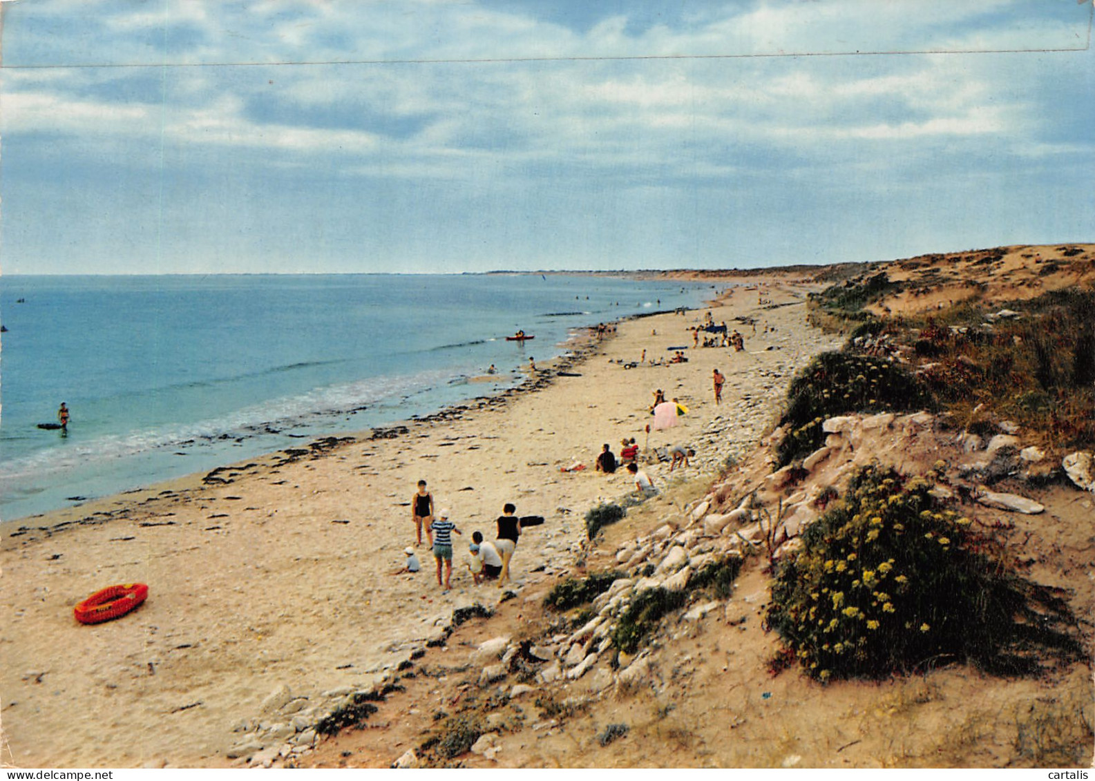 17-ILE DE RE LA NOUE-N°4215-B/0043 - Ile De Ré