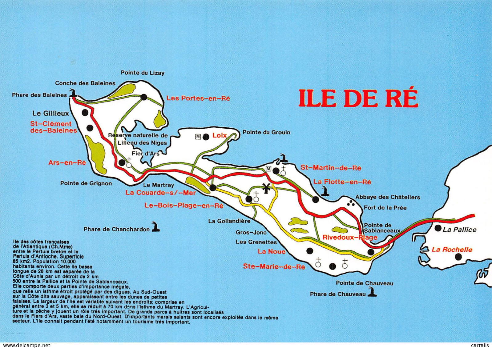 17-ILE DE RE-N°4216-C/0025 - Ile De Ré