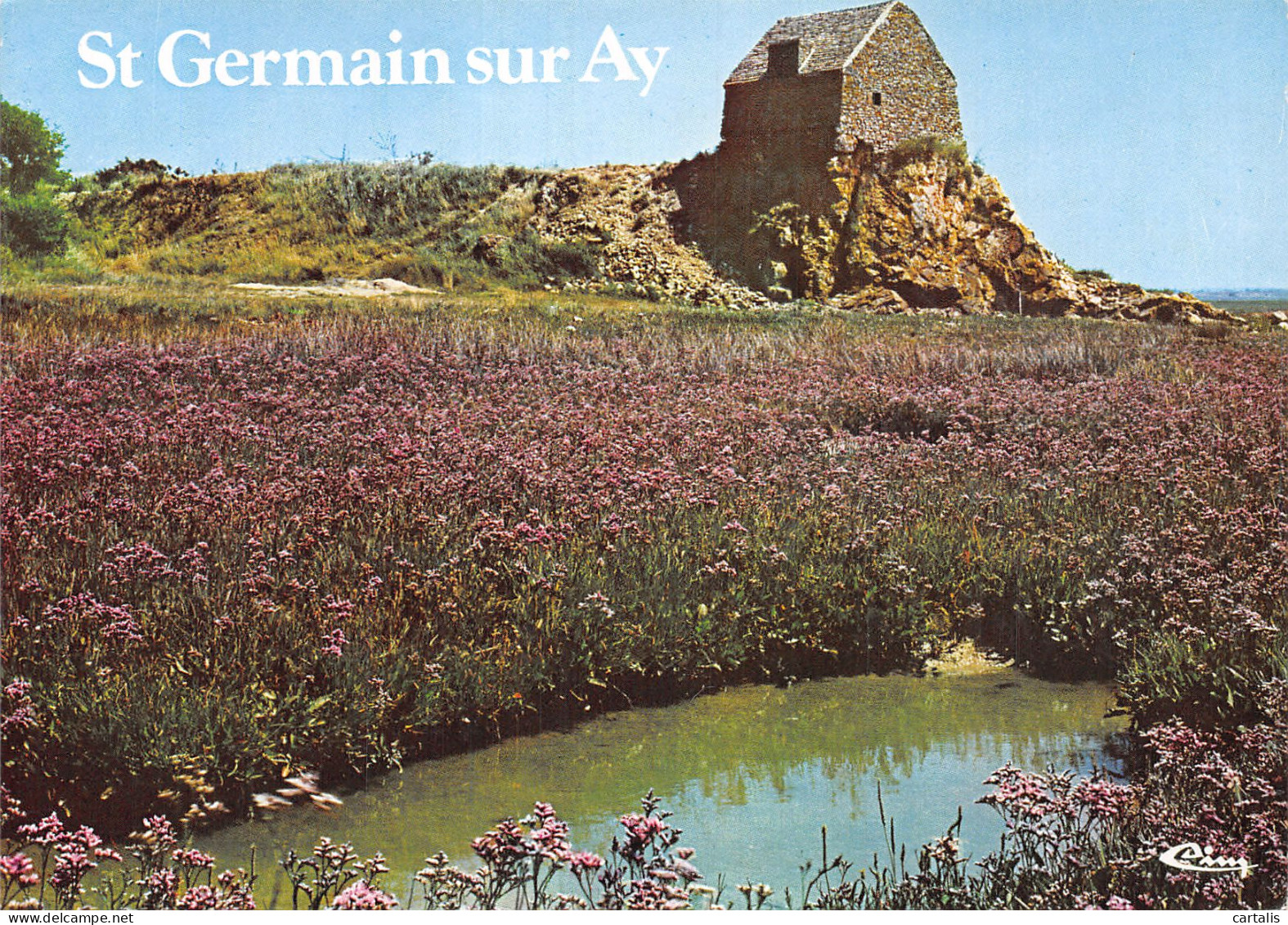 50-SAINT GERMAIN SUR AY-N°4216-D/0143 - Other & Unclassified