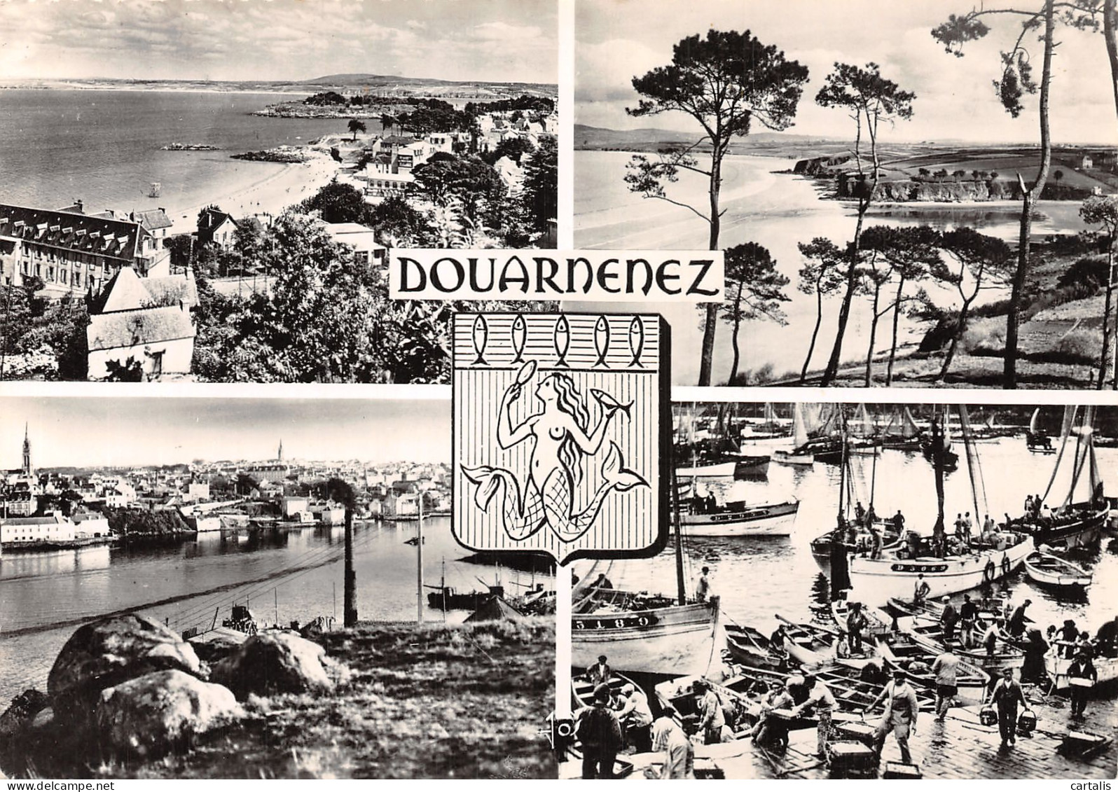 29-DOUARNENEZ-N°4217-B/0281 - Douarnenez