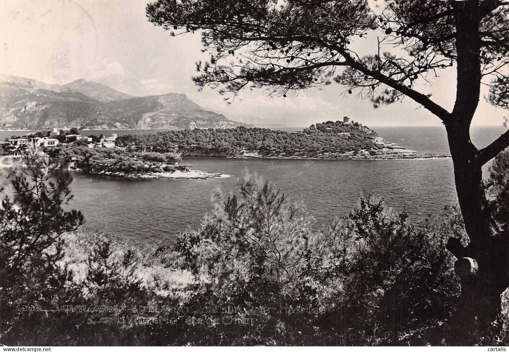 06-SAINT JEAN CAP FERRAT-N°4218-A/0253 - Saint-Jean-Cap-Ferrat