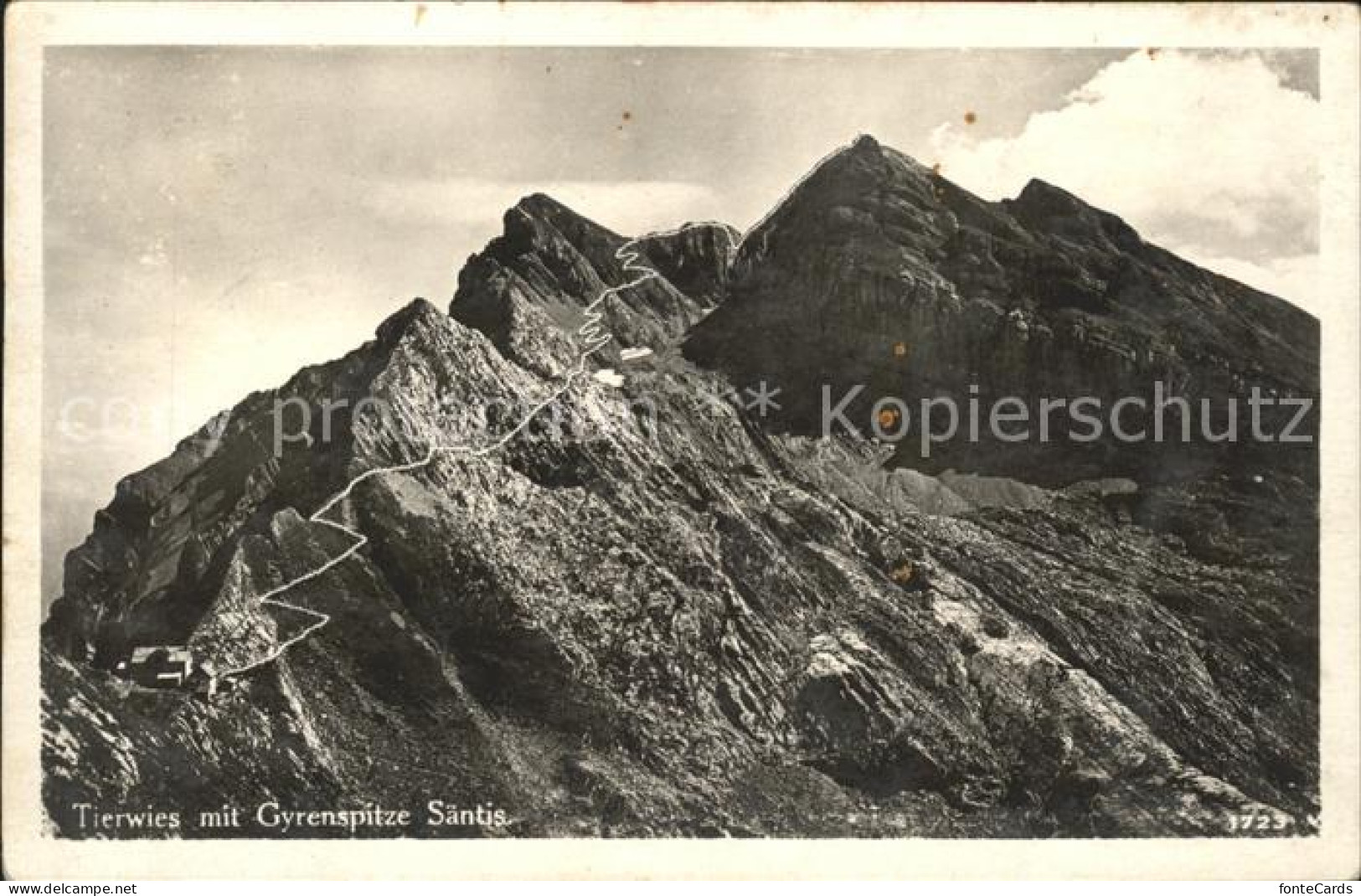 11676886 Saentis AR Tierwis Mit Gyrenspitze Saentis AR - Other & Unclassified