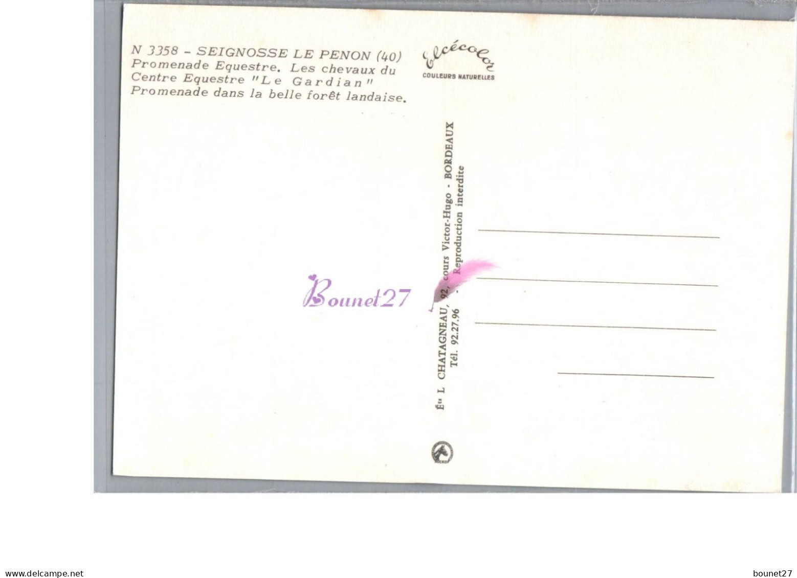 SEIGNOSSE LE PENON 40 - Promenade équestre Les Chevaux Du Centre LE GARDIAN Cheval Forêt Landaise Carte Vierge - Other & Unclassified