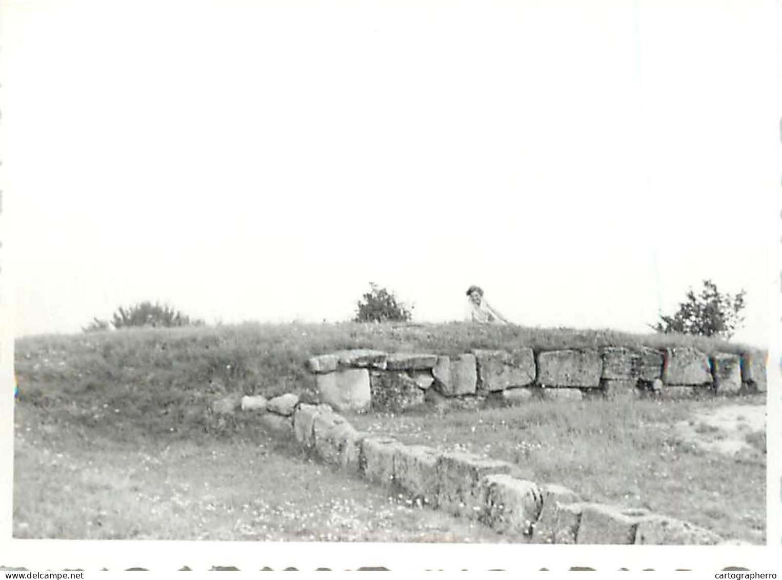 Anonymous Persons Souvenir Photo Social History Format Ca. 6 X 9 Cm Woman In Nature - Anonymous Persons