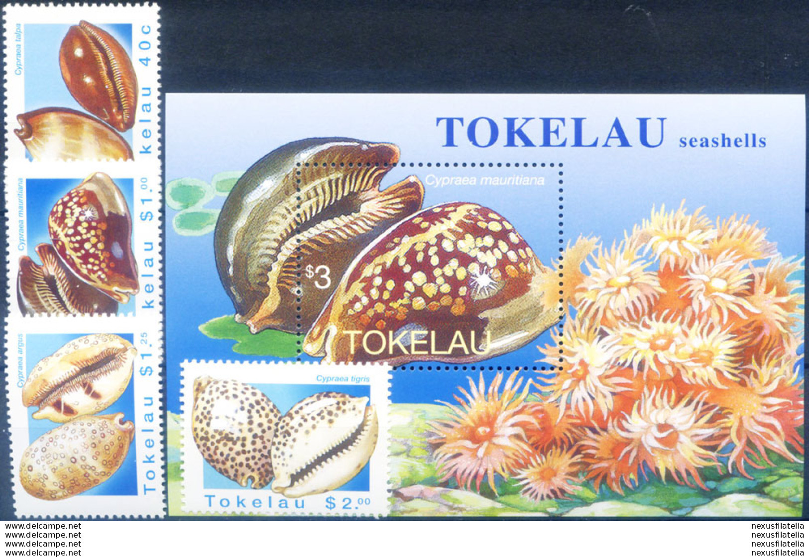 Conchiglie 1996. - Tokelau