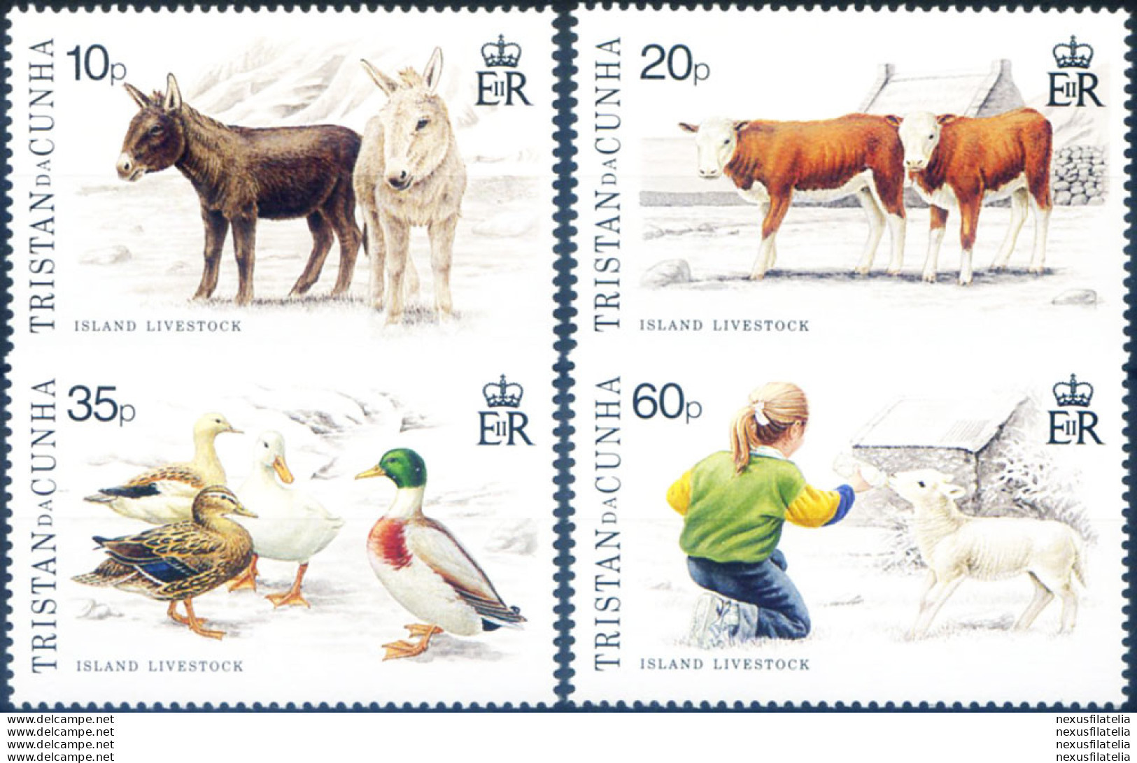 Fauna. Animali Da Cortile 1994. - Tristan Da Cunha