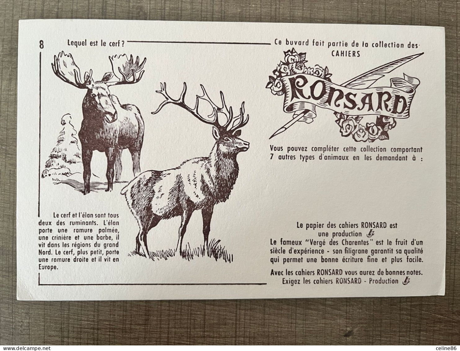 RONSARD Collection Des Cahiers Lequel Est Le Cerf ? - Papeterie