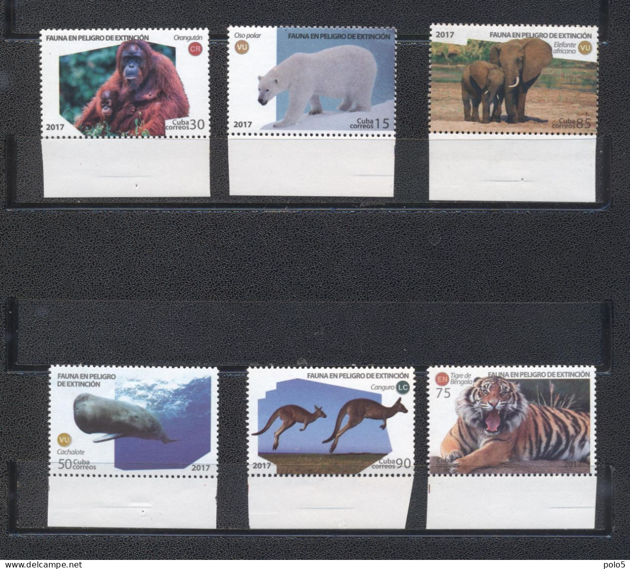 Cuba 2017-Endangered Fauna Set (6v) - Ongebruikt