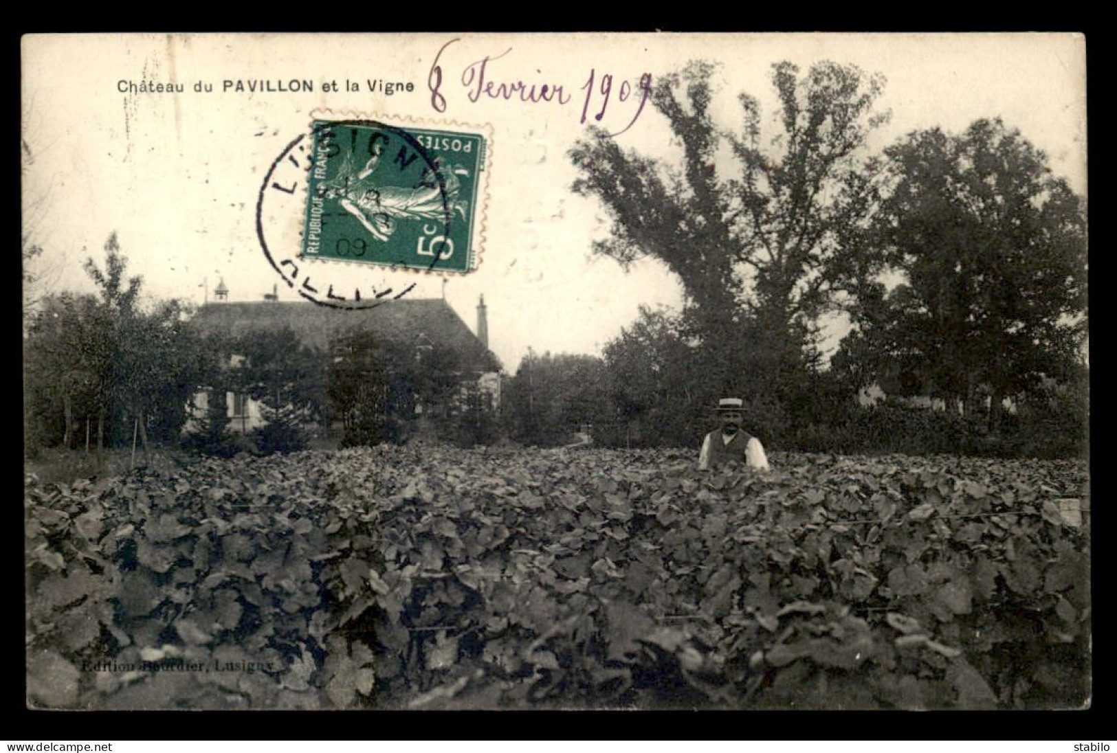 03 - CHATEAU DU PAVILLON ET LA VIGNE - Autres & Non Classés