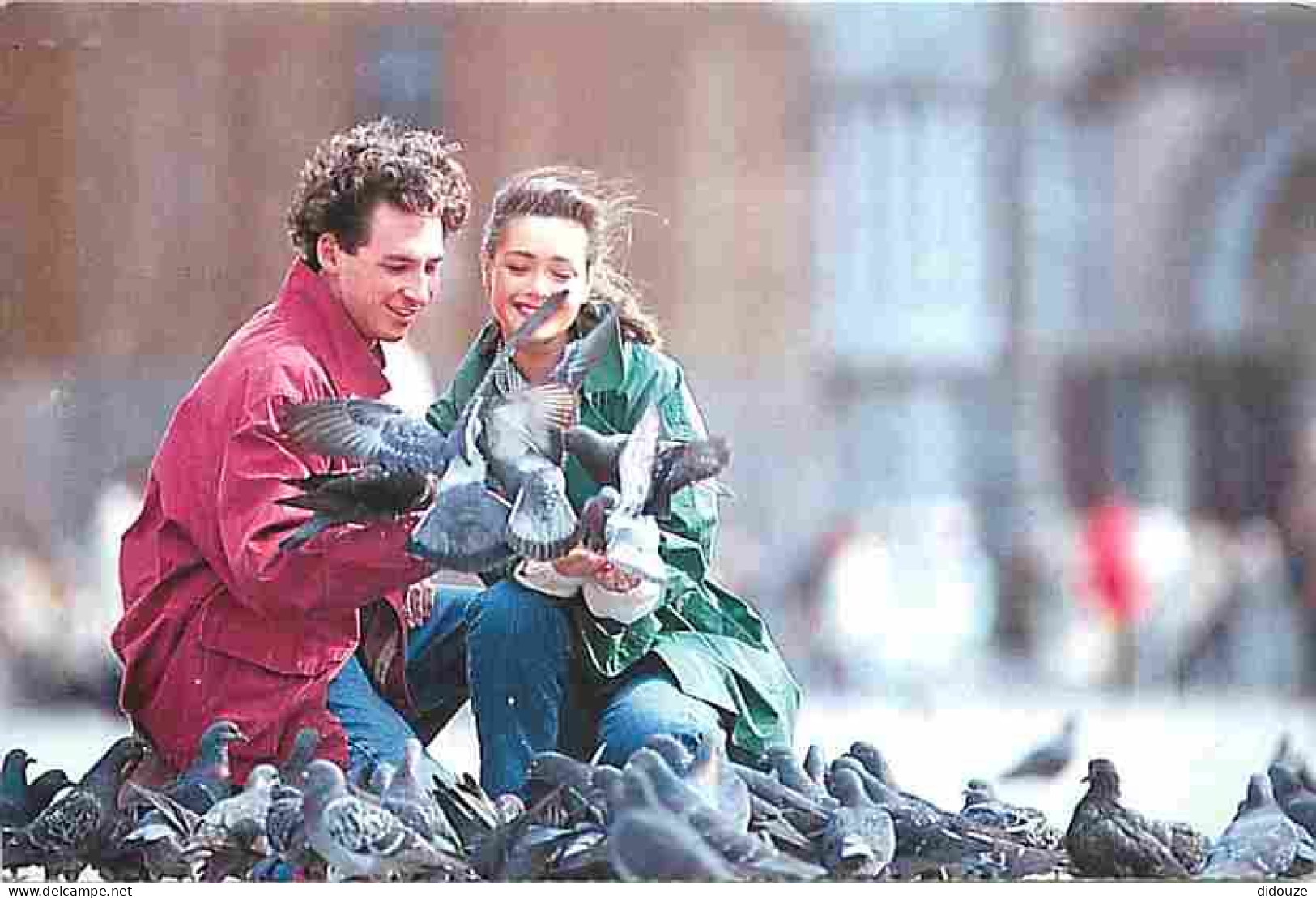 Couples - Pigeons - CPM - Voir Scans Recto-Verso - Couples