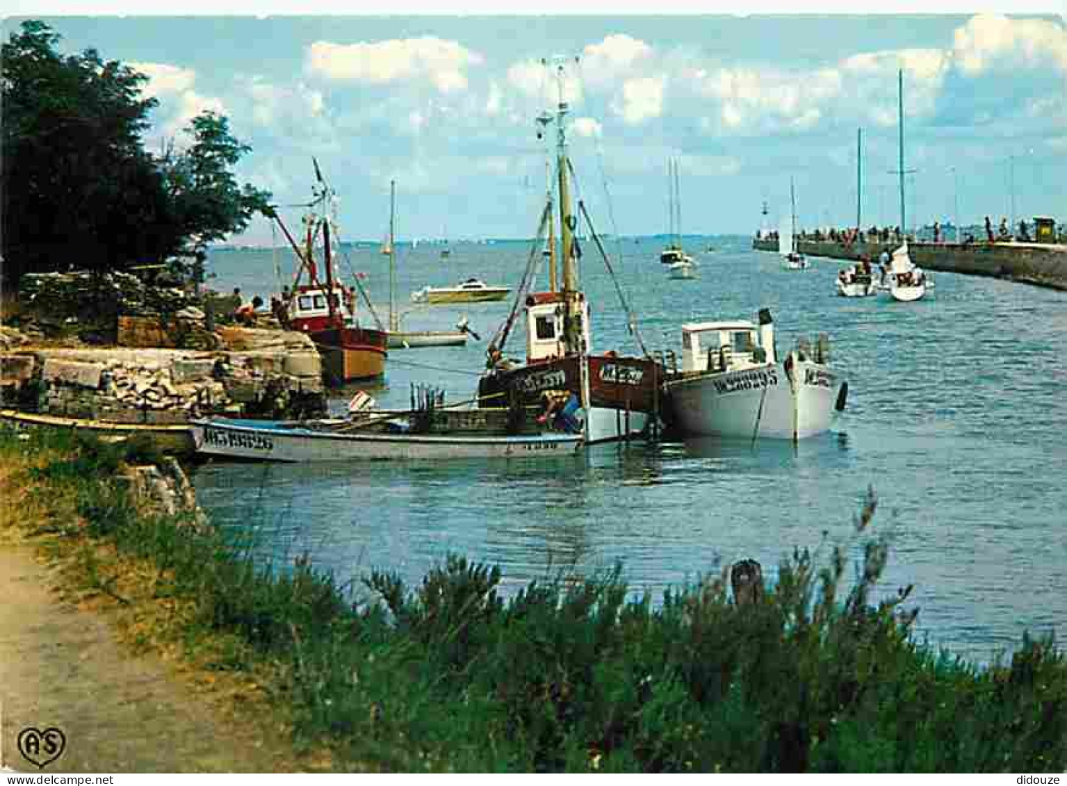 17 - Ile D'Oléron - Boyardville - L'entrée Du Chenal De La Perrotine - Bateaux - CPM - Voir Scans Recto-Verso - Ile D'Oléron