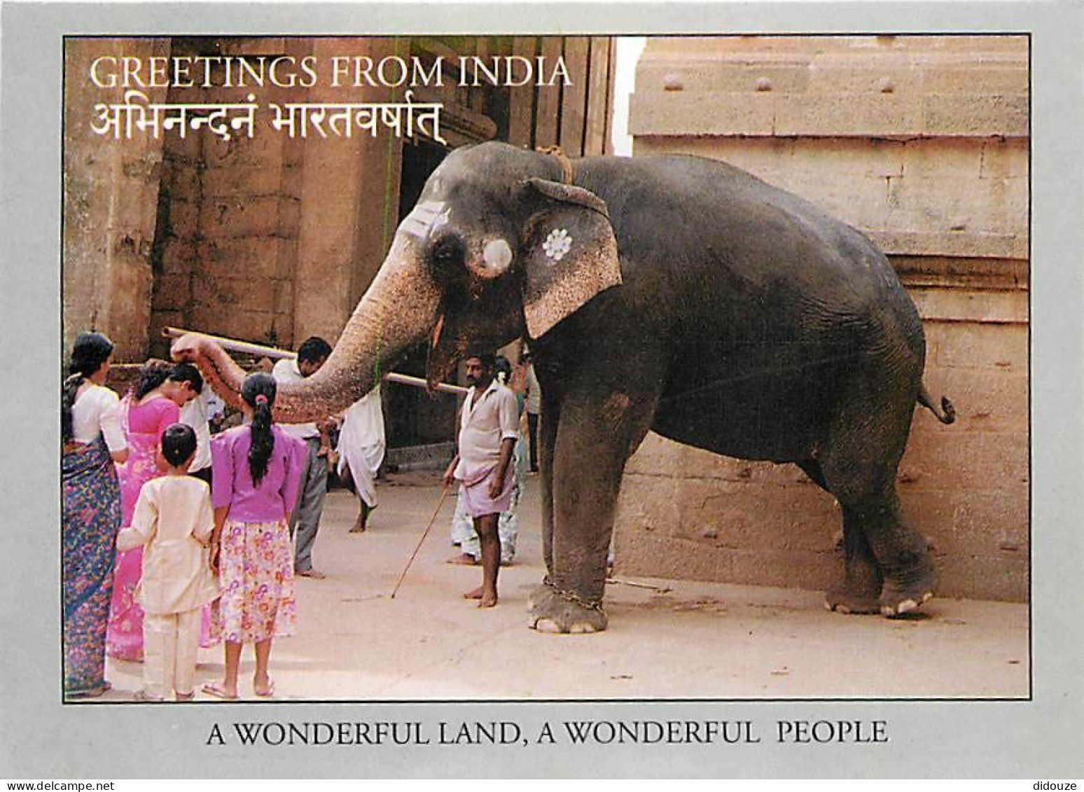 Animaux - Eléphants - Inde - India - A WonderfuI Land And A WonderfuI People - CPM - Voir Scans Recto-Verso - Olifanten