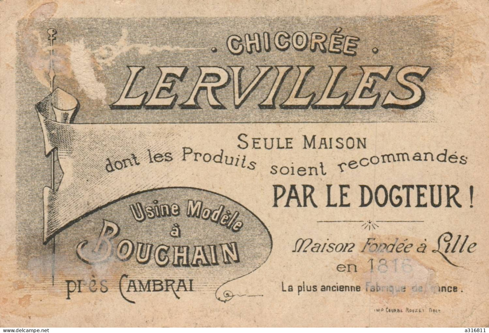 Chicore Lervilles - Tea & Coffee Manufacturers