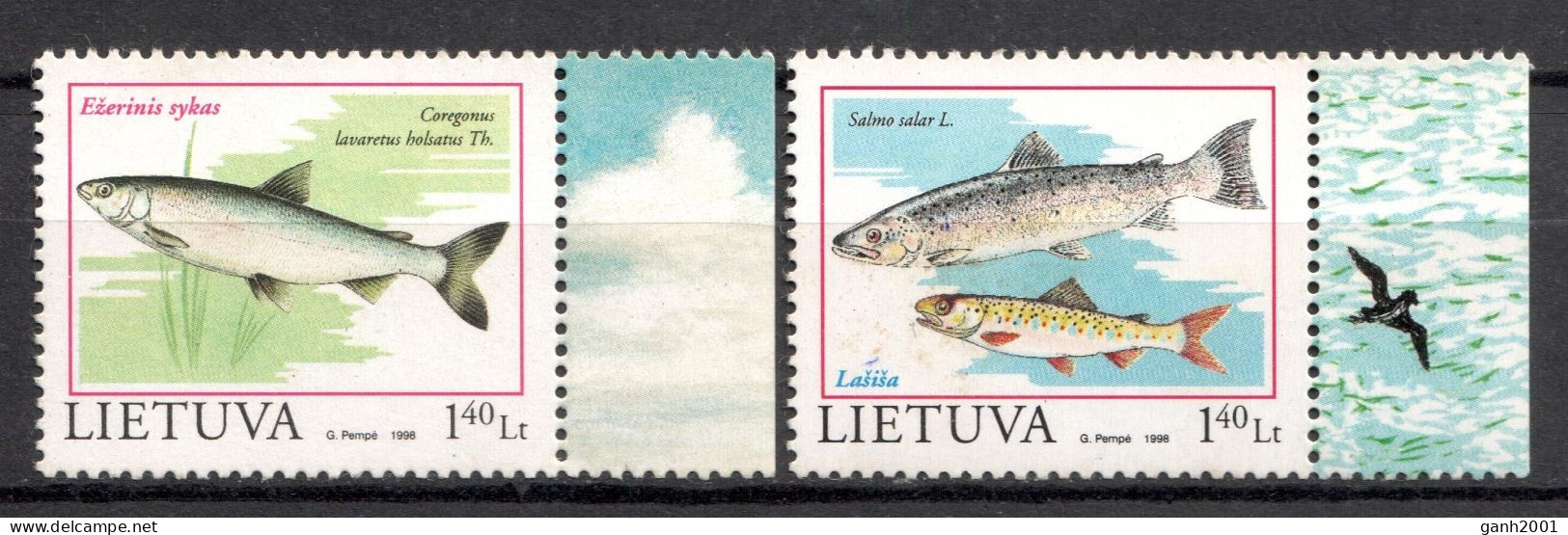 Latvia 1998 Letonia / Fishes Fish MNH Fische Poisson Peces / Cu22121  27-35 - Fishes