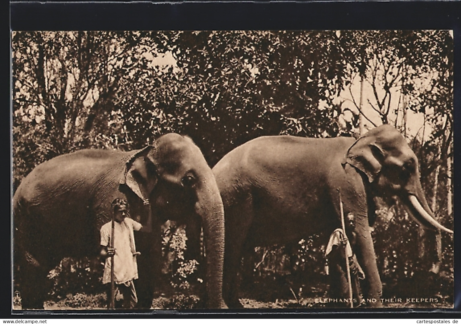 AK Panebokke Walauwa Gampola, Elephants And Their Keepers  - Olifanten