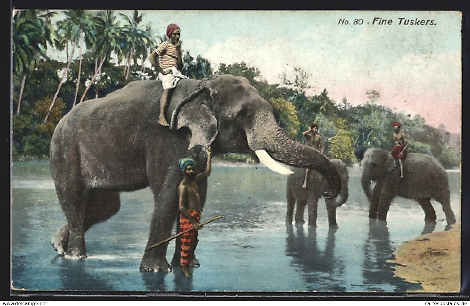 AK Fine Tuskers, Arbeits-Elefanten Am Wasser  - Elephants