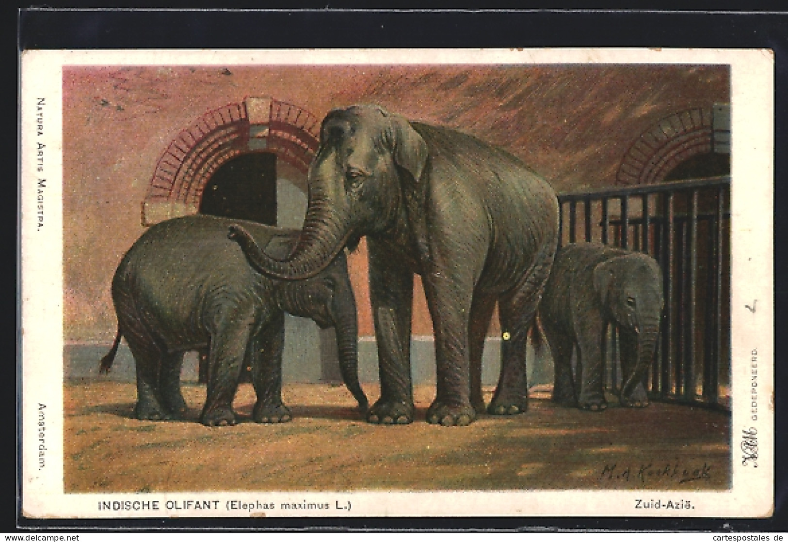 AK Indischer Elefant Mit Jungen In Einem Innengehege  - Olifanten