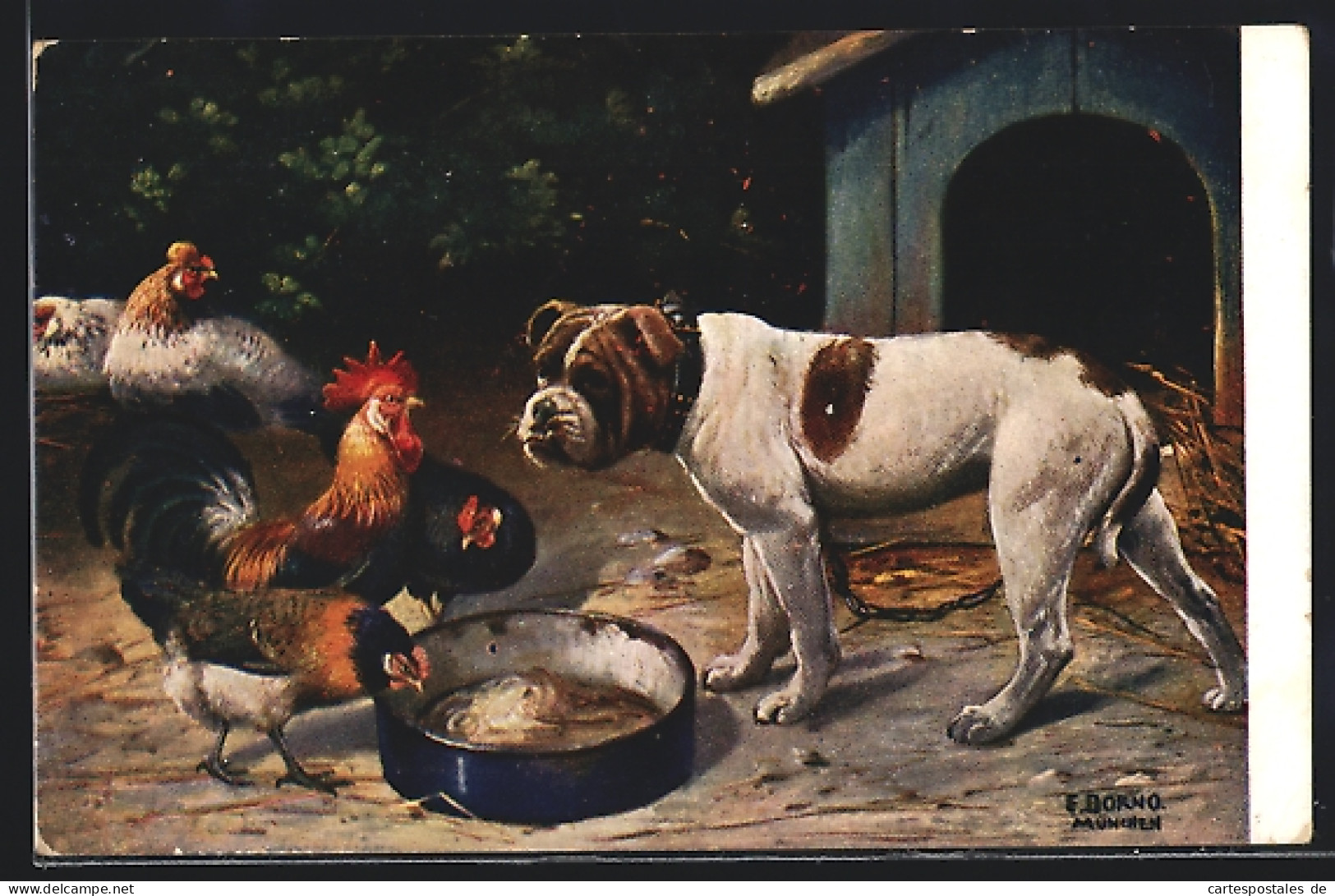 AK Bulldogge Verteidigt Futterschüssel Gegen Hühner  - Chiens