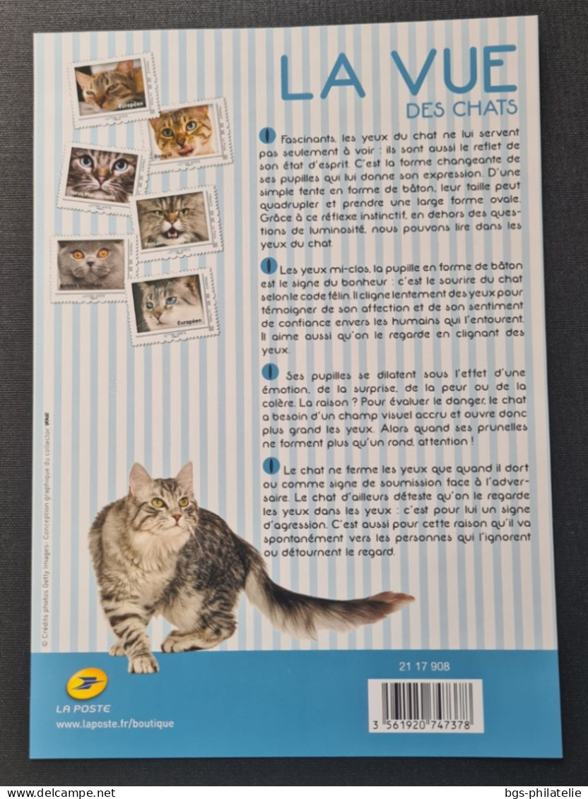 Chat, Carnet De Timbres Neufs. - Hauskatzen