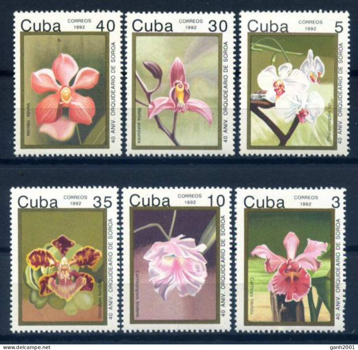 Cuba 1992 / Flowers Orchids MNH Flores Orquídeas Blumen Fleurs / Hj60 1-37 - Orchideeën