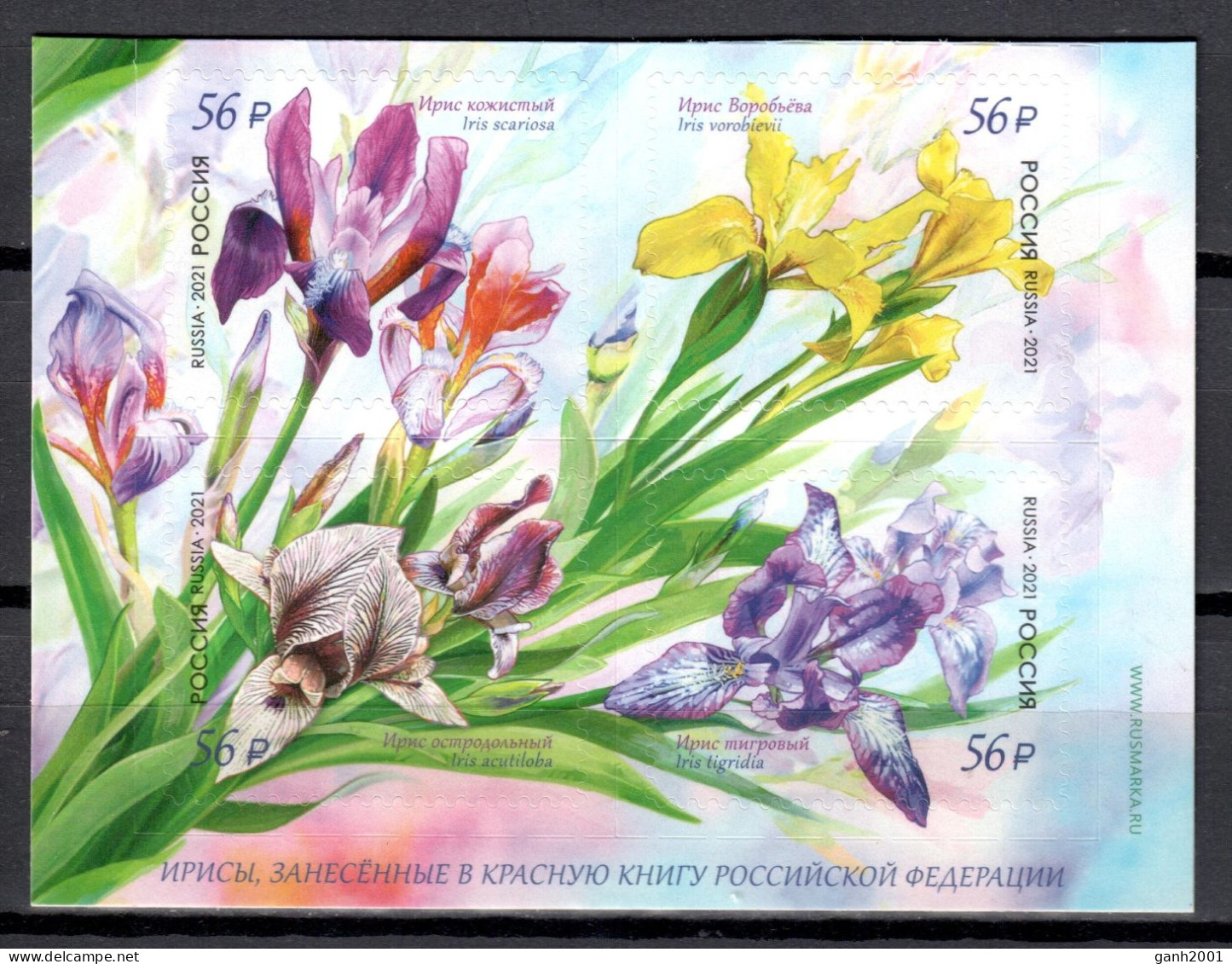 Russia 2021 Rusia / Flowers MNH Flores Blumen Fleurs / Hx01  34-53 - Andere & Zonder Classificatie