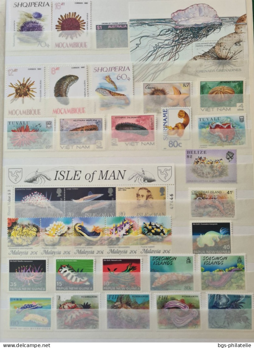 Collection de timbres sur le thème des fonds marins.