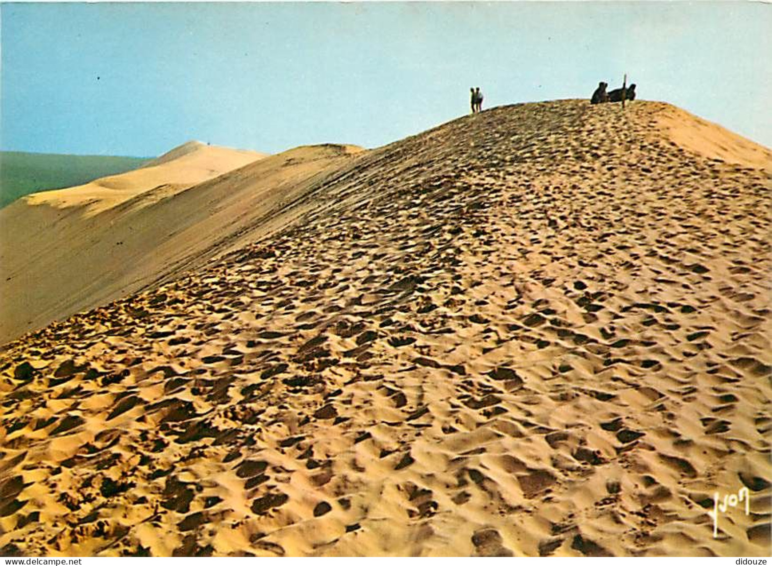 33 - Dune Du Pyla - Bassin D'Arcachon - CPM - Voir Scans Recto-Verso - Autres & Non Classés