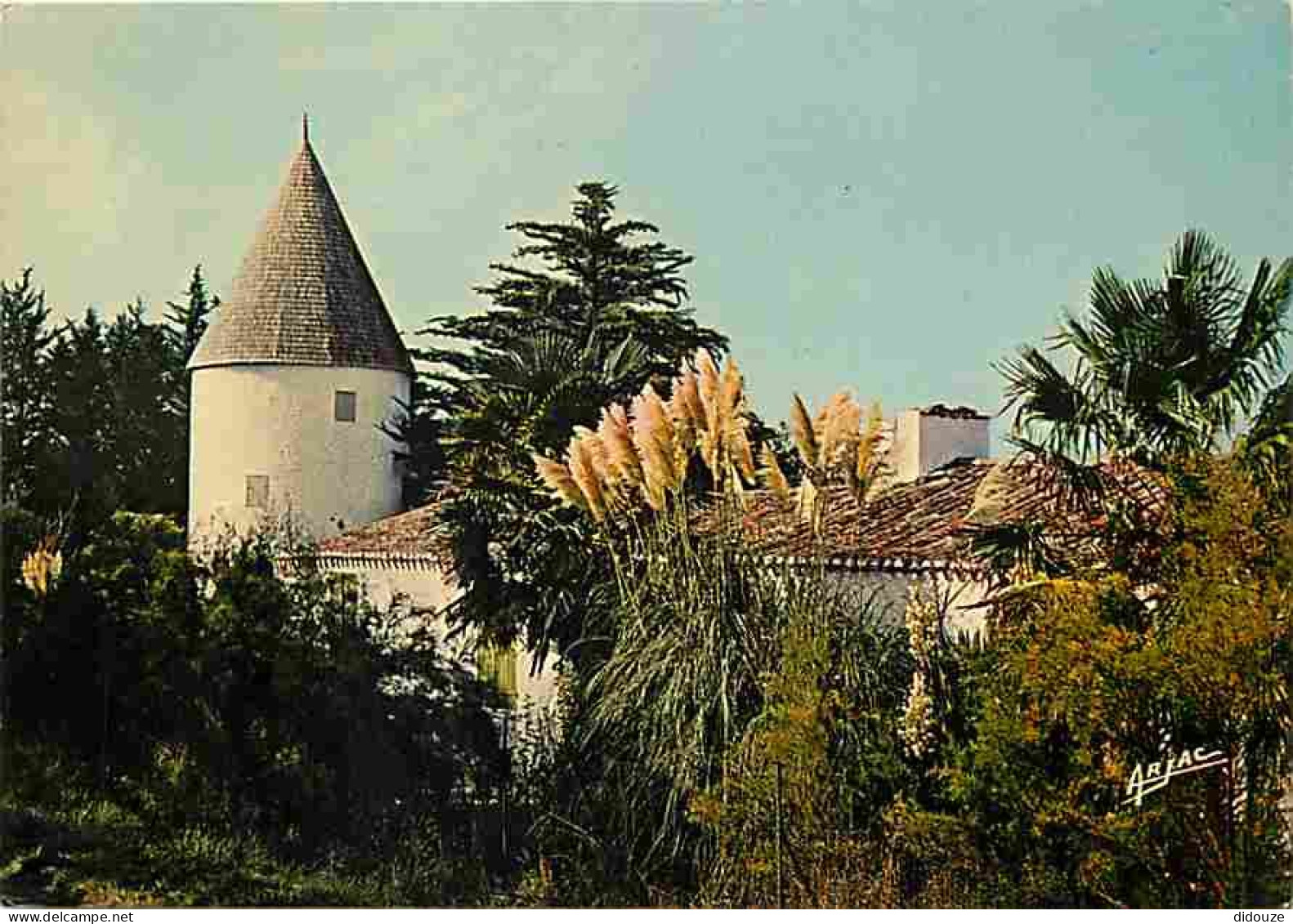 17 - Ile D'Oléron - Vieux Moulin Sur La Route De Saint-Pierre - Editeur Arjac - CPM - Voir Scans Recto-Verso - Ile D'Oléron