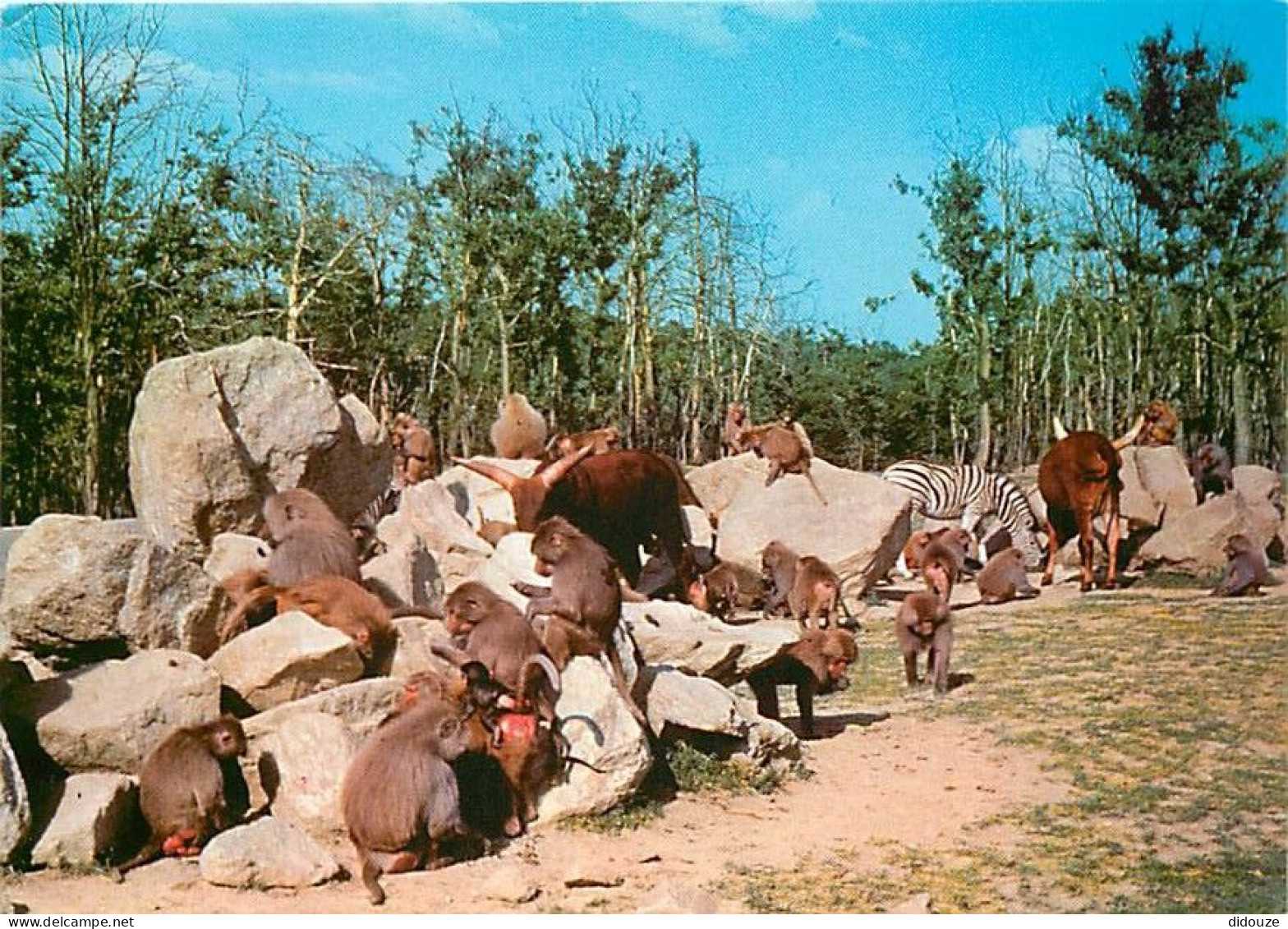 Animaux - Singes - Safari Parc De Peaugres - Carte Neuve - CPM - Voir Scans Recto-Verso - Singes