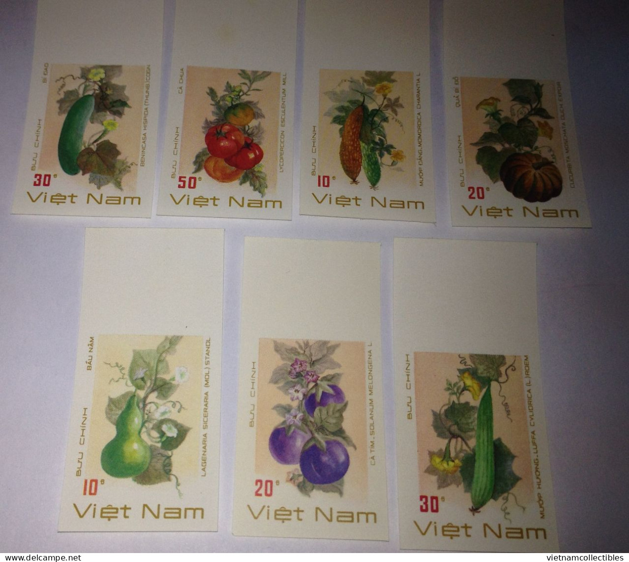 Vietnam Viet Nam MNH Imperf Stamps 1988 : Fruit / Melon / Pumpkin (Ms556) - Viêt-Nam