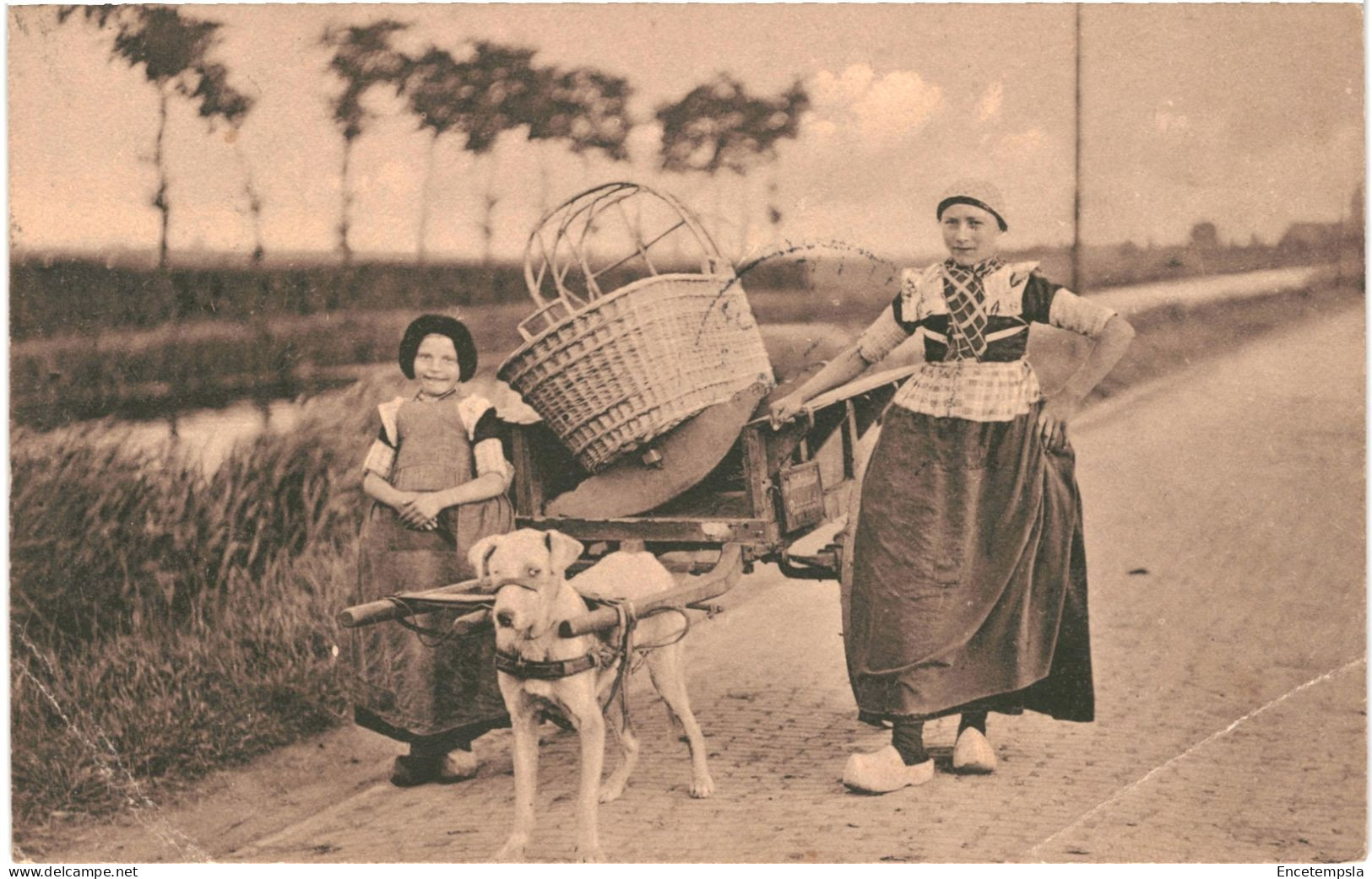 CPA Carte Postale Belgique Fermières En Sabots Avec Attelage Tractée Par Un Chien  1910 VM80885 - Other & Unclassified