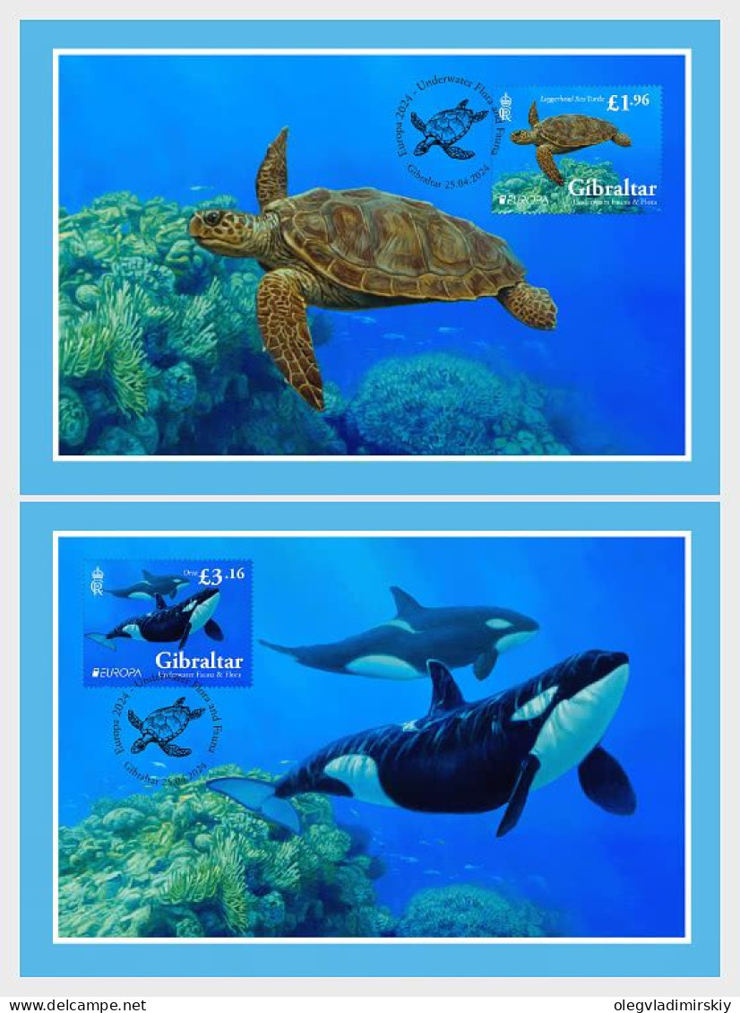 Gibraltar 2024 Europa CEPT Underwater Fauna And Flora Set Of 2 Maxicards - Vie Marine