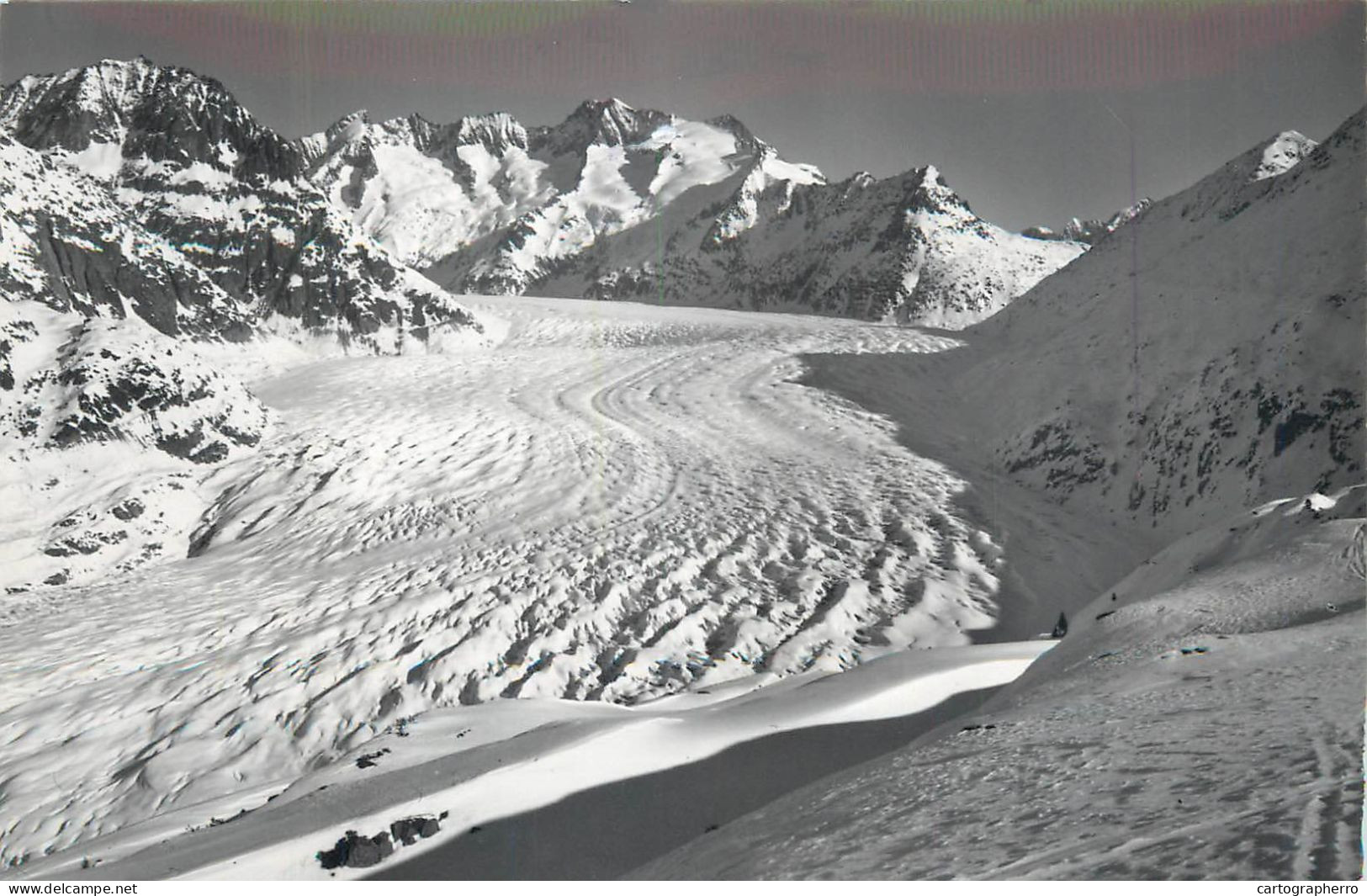 Switzerland Der Grosse Aletschgletscher Wannenhorn - Autres & Non Classés