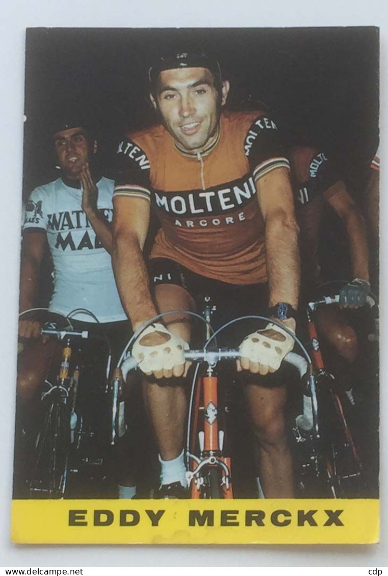 Carte Postale Eddy Merckx - Ciclismo