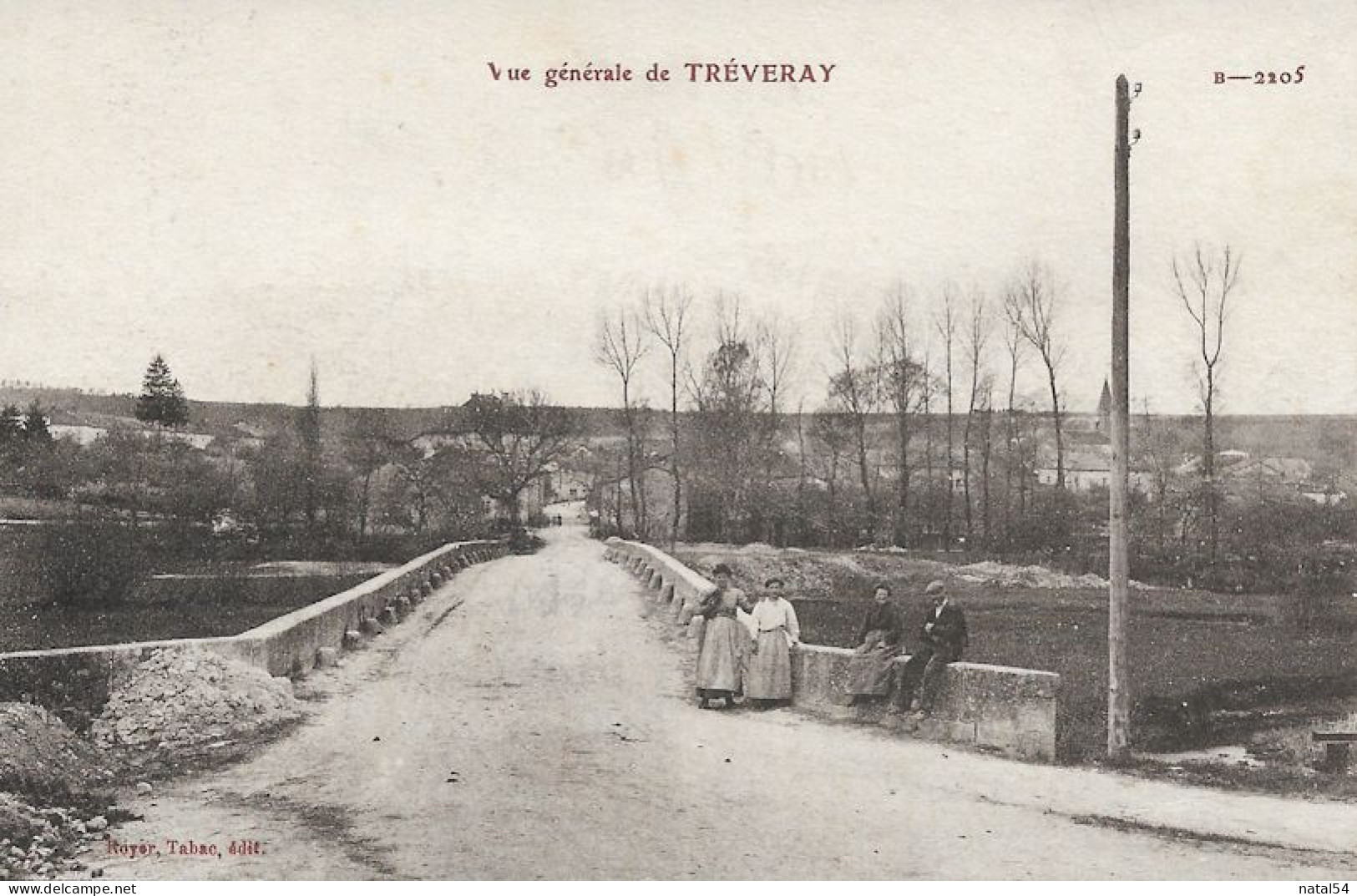 55 - Treveray - Vue Générale - Petite Animation - CPA écrite - Other & Unclassified