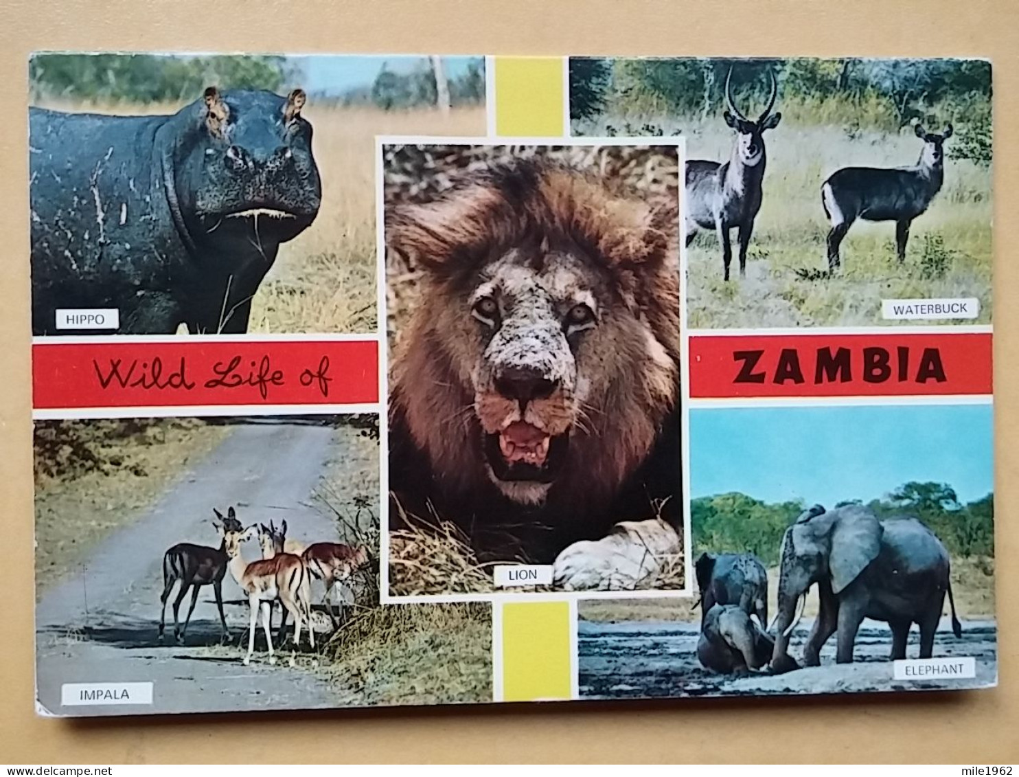 KOV 506-56 - ELEPHANT, IMPALA, LION, WATERBUCK, HIPPO, HIPPOPOTUMUS,, ZAMBIA - Elephants