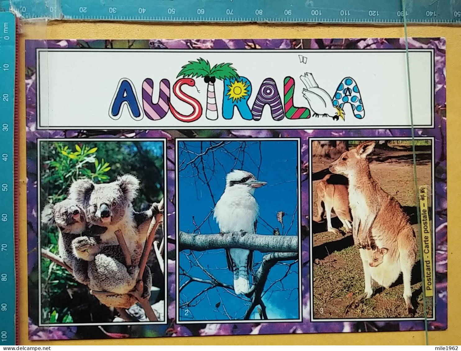 KOV 506-58 - KOALA, CANGAROO, KOOKABURRA - Sonstige & Ohne Zuordnung