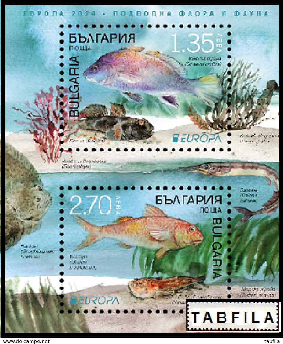 BULGARIA - 2024 - Europa-CEPT - Marine Flora And Fauna - Bl - MNH - 2024