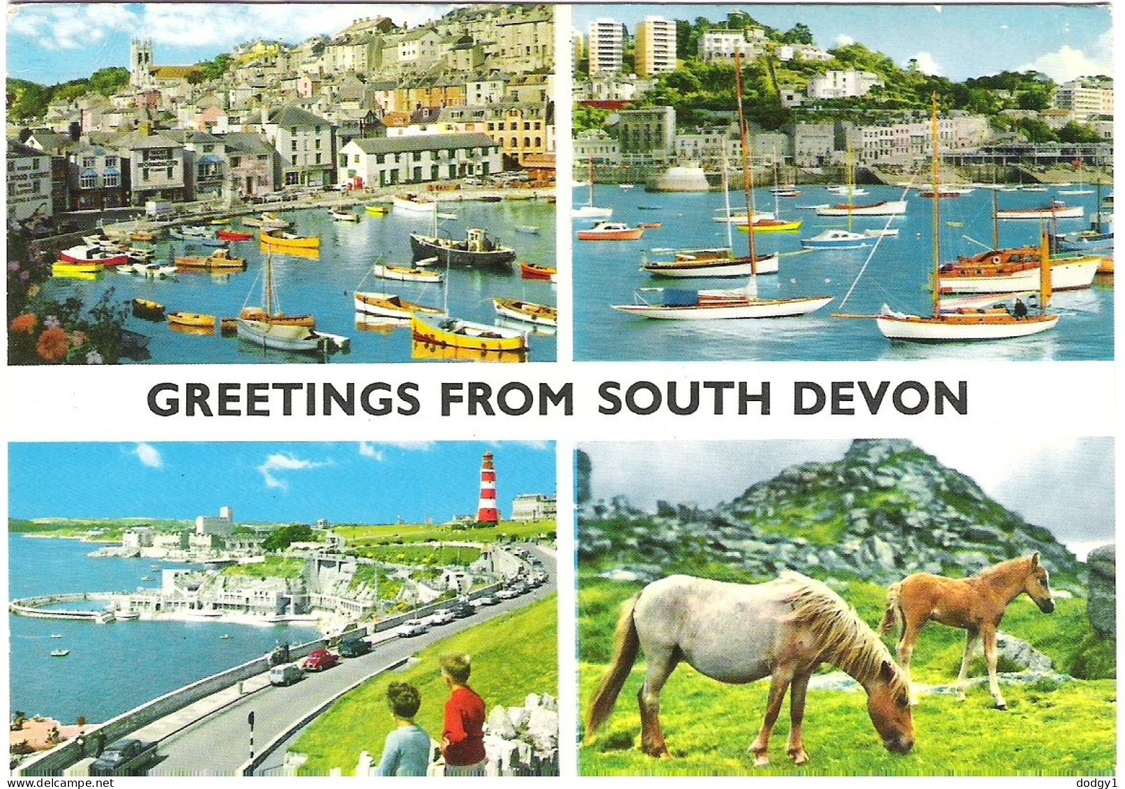 SCENES FROM SOUTH DEVON, USED POSTCARD My9 - Sonstige & Ohne Zuordnung