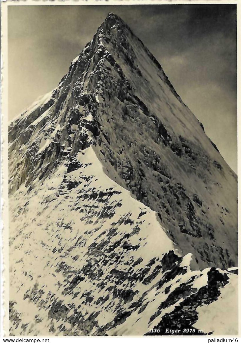 BE EIGER 3975 M. * Superbe Carte * BERN - BERNE - Wilhelm Pleyer Zürich, No 1136 - Pas Circulé - Sonstige & Ohne Zuordnung